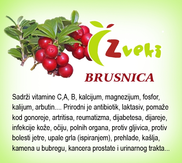 Zveki zr slBrusnica Sadži vitamine C,A,B, kalcijum, magnezijum, fosfor, kalijum, arbutin. Prirodni je antibiotik, laksativ, pomaže kod gonoreje, artritisa, reumatizma, dijabetesa, dijareje, infekcije kože, očiju, polnih organa, protiv gljivica, protiv bolesti jetre, upale grla (ispiranjem), prehlade, kašlja, kamena u bubregu, kancera prostate i urinanrnog trakta.